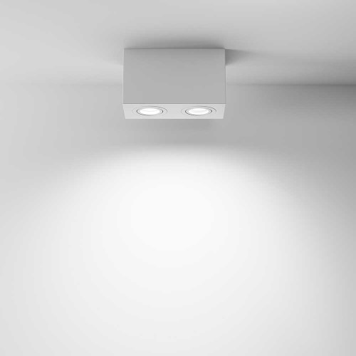 
                    Потолочный светильник Maytoni Technical Atom C017CL-02W        
    
