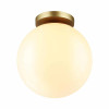 
                    Потолочный светильник Odeon Light Hightech Bosco 4248/1C        
    