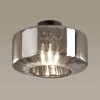 
                    Потолочный светильник Odeon Light Pendant Binga 4746/1C        
    
