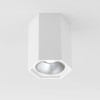 
                    Потолочный светодиодный светильник Elektrostandard 25036/Led a055856        
    