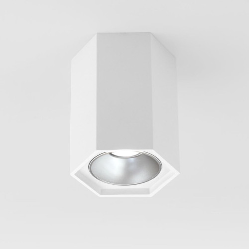 
                    Потолочный светодиодный светильник Elektrostandard 25036/Led a055856        
    