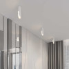 
                    Потолочный светодиодный светильник Elektrostandard Apex 25113/LED a068289        
    