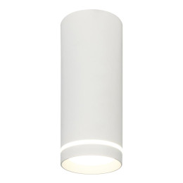 Потолочный светодиодный светильник Escada 20009SMU/02LED SWH