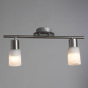 
                    Спот Arte Lamp A4510PL-2SS        
    