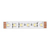 
                    Светодиодная лента ST Luce ST1005.318.20RGBW        
    