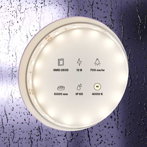 
                    Светодиодная лента Standard Maytoni Led Strip 20005        
    
