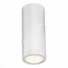 
                    Светодиодный спот ST Luce ST650.532.10        
    