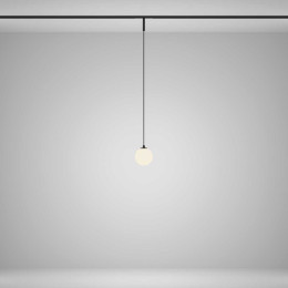 Трековый подвесной светильник Maytoni Technical TR178-1-5WTW-B