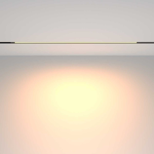 
                    Трековый светильник Maytoni Technical EXILITY Basis TR231-2-15W3K-B        
    