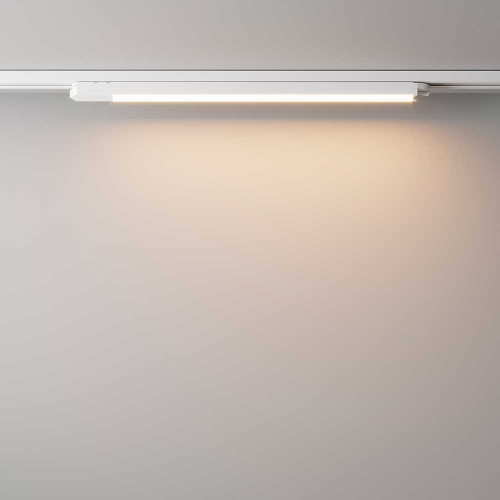 
                    Трековый светодиодный светильник Maytoni Technical Basis TR000-1-24W3K-W        
    