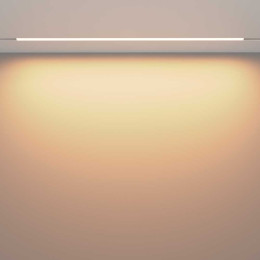 Трековый светодиодный светильник Maytoni Technical Exility Basis TR030-2-30W3K-W