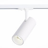 
                    Трековый светодиодный светильник ST Luce Mono ST350.536.20.36        
    
