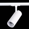 
                    Трековый светодиодный светильник ST Luce Mono ST350.536.20.36        
    