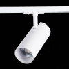 
                    Трековый светодиодный светильник ST Luce Mono ST350.546.30.36        
    