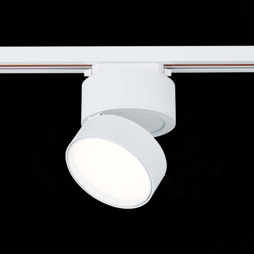 
                    Трековый светодиодный светильник ST Luce ST651.546.14        
    