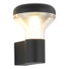 
                    Уличный настенный светодиодный светильник ST Luce Drop SL9541.701.01        
    