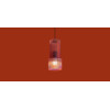 
                    Подвесной светильник Freya FR5599PL-01CFL        
    