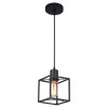 
                    Подвесной светильник Lussole Loft LSP-9540        
    