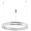 
                    Подвесной светодиодный светильник Divinare Renata 1135/02 SP-48        
    