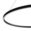 
                    Подвесной светодиодный светильник Maytoni Rim MOD058PL-L65BK        
    