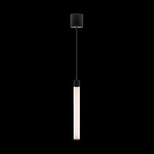 
                    Подвесной светильник Maytoni Ray P022PL-L10B        
    