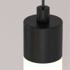 
                    Подвесной светильник Maytoni Ray P022PL-L10B        
    