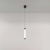 
                    Подвесной светильник Maytoni Ray P022PL-L10B        
    