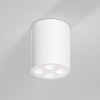 
                    Потолочный светильник Elektrostandard 25111/LED a067483        
    