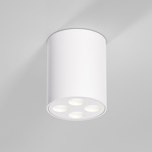 
                    Потолочный светильник Elektrostandard 25111/LED a067483        
    