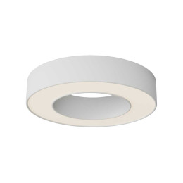 Потолочный светильник Maytoni Technical C093CL-24W3K-W