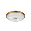 
                    Потолочный светильник Odeon Light Walli Pelow 4956/4        
    