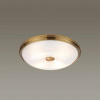 
                    Потолочный светильник Odeon Light Walli Pelow 4956/4        
    