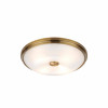 
                    Потолочный светильник Odeon Light Walli Pelow 4956/4        
    
