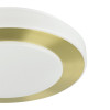 
                    Потолочный светодиодный светильник Eglo LED Carpi 900369        
    