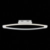 
                    Потолочный светодиодный светильник ST Luce SL920.102.01        
    