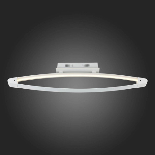 
                    Потолочный светодиодный светильник ST Luce SL920.102.01        
    