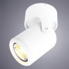 
                    Спот Arte Lamp A3316PL-1WH        
    