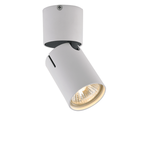 
                    Спот Vele Luce Carrisi VL8061S21        
    
