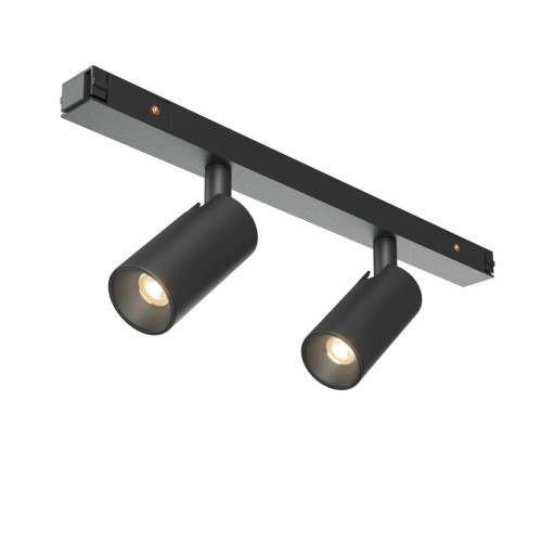 
                    Трековый светильник Maytoni Technical TR176-1-2X3WTW-M-B        
    