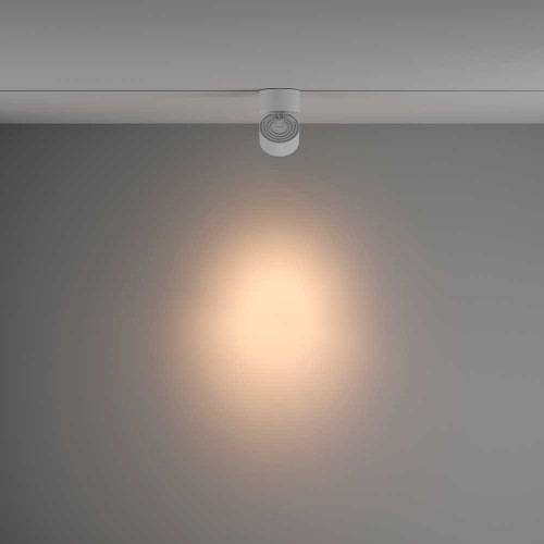 
                    Трековый светильник Maytoni Technical Yin TR084-1-15W3K-W        
    