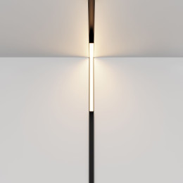 Трековый светодиодный светильник Maytoni Technical Exility Basis Angle TR102-24W-DS-B