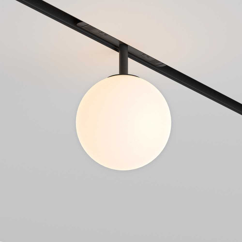 
                    Трековый светодиодный светильник Maytoni Technical Luna TR038-2-5W3K        
    