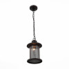 
                    Уличный подвесной светильник ST Luce Lastero SL080.403.01        
    