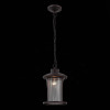 
                    Уличный подвесной светильник ST Luce Lastero SL080.403.01        
    