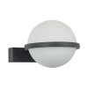 
                    Бра Favourite Ringar 4502-1W        
    