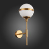 
                    Бра ST Luce Arbe SL1157.301.01        
    
