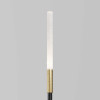 
                    Ландшафтный светильник Maytoni Outdoor Flare S O524FL-L2B3K        
    