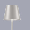 
                    Настольная лампа F-Promo Pyari 4617-1T        
    