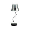 
                    Настольная лампа Lumion Moderni Smoky 6570/1T        
    