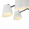 
                    Подвесная люстра Freya Nordic FR5127PL-06B        
    